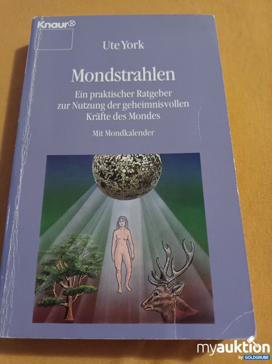 Artikel Nr. 398324: Mondstrahlen