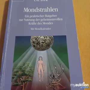 Artikel Nr. 398324: Mondstrahlen