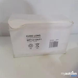 Auktion Kung Long Wartungsfreie AGM Bleibatterie 12V