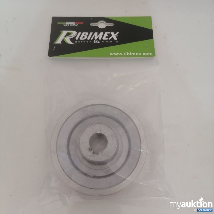 Artikel Nr. 749337: Ribimex Riemenscheibe Diam 100 Achse 19 mm