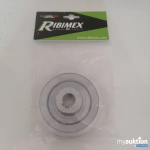 Auktion Ribimex Riemenscheibe Diam 100 Achse 19 mm