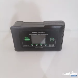 Auktion Smart Charger Battery Charger 