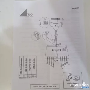 Artikel Nr. 761350: Trio Lighting for You 