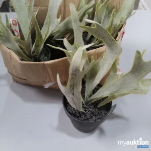 Artikel Nr. 377357: Home Accents Artificial Plant 4 Stück 