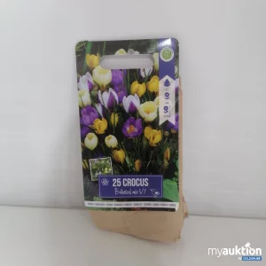 Auktion 25 Crocus 