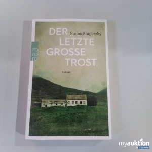 Auktion "Der letzte große Trost" Roman