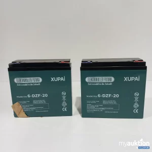 Artikel Nr. 781367: Xupai Elektroroller Futura 6-DZF-20 Charger 2 Stück 