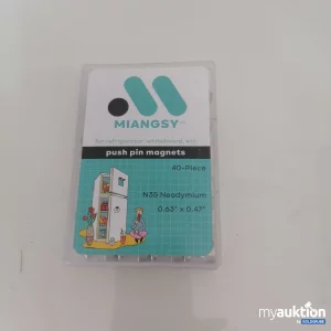 Auktion Miangsy Magnet 40 Stück 