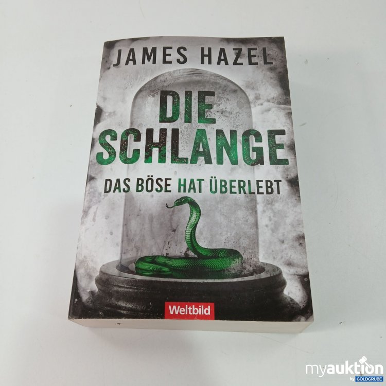 Artikel Nr. 794381: Die Schlange: Thriller