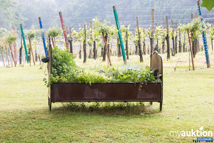 Artikel Nr. 391382: Gutschein für 2 x Übernachtungen inkl. Frühstück und 1 Flasche Wein für 2 Personen im Weingut Neubauer, Spielfeld, Südsteiermark