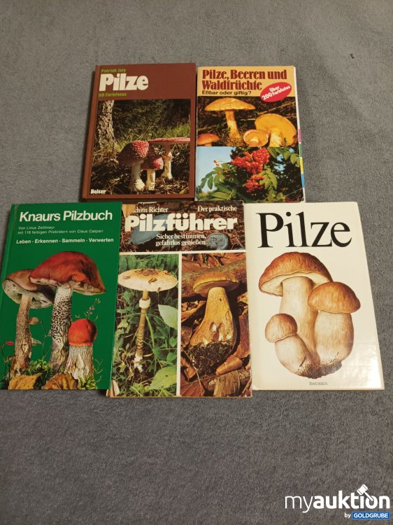 Artikel Nr. 390399: 5 alte Bücher über Pilze