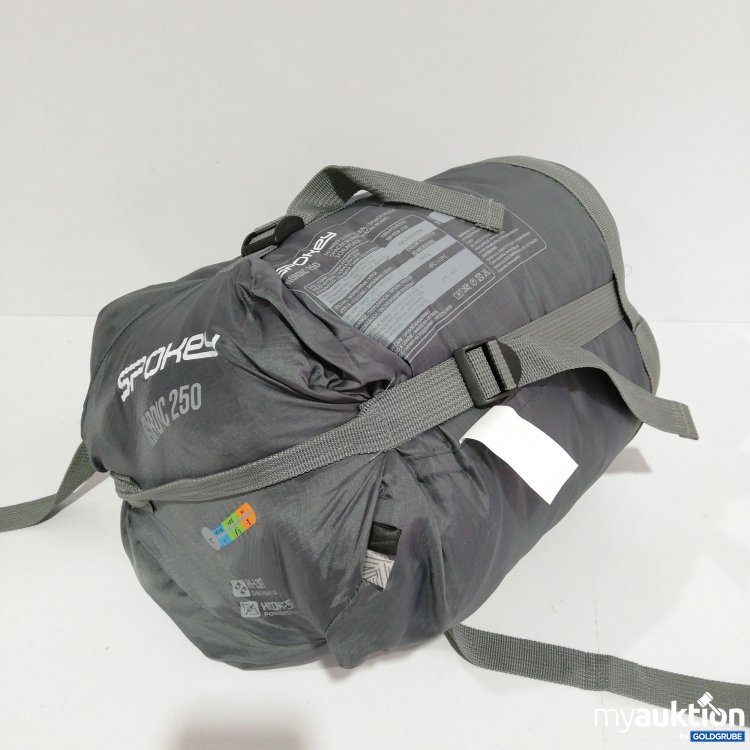 Artikel Nr. 385403: Spokey Nordic 250 Schlafsack