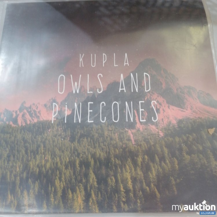 Artikel Nr. 744415: Kupla - Owls and Pinecones Schallplatte