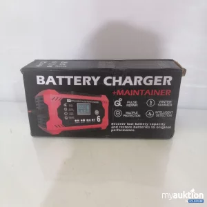 Auktion Maintainer Battery Charger 