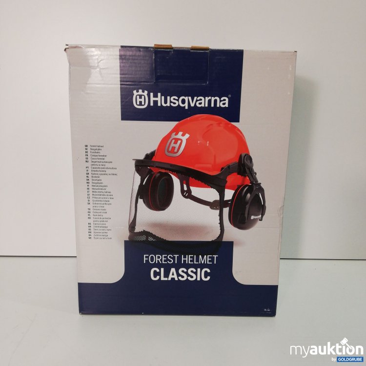 Artikel Nr. 787424: Husqvarna Forest Helmet HP100-2