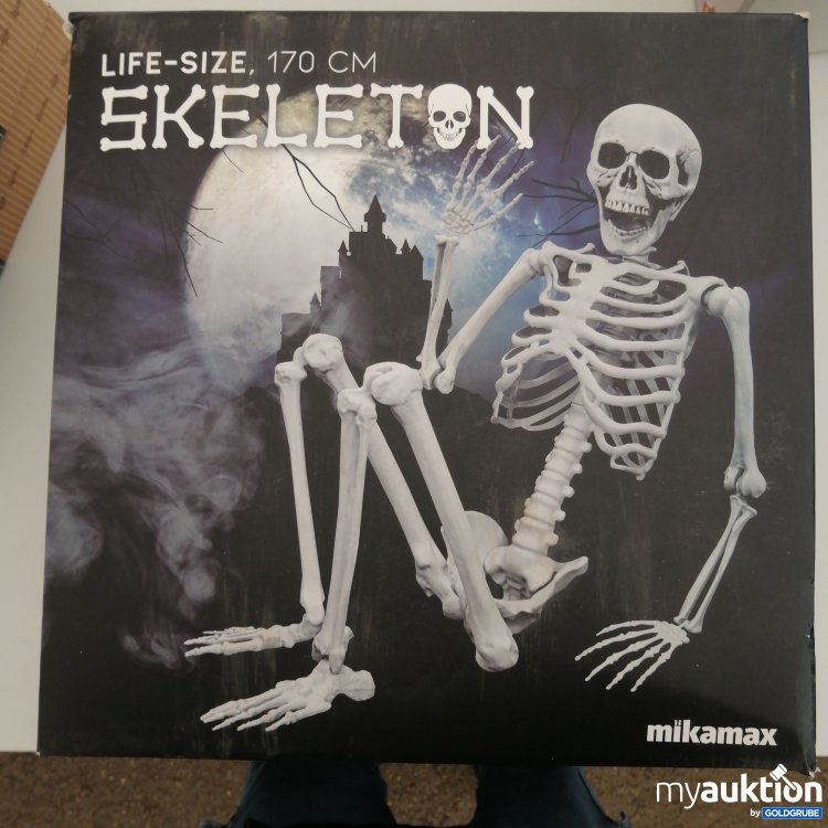 Artikel Nr. 379464: Life Size 170 cm Skeleton 