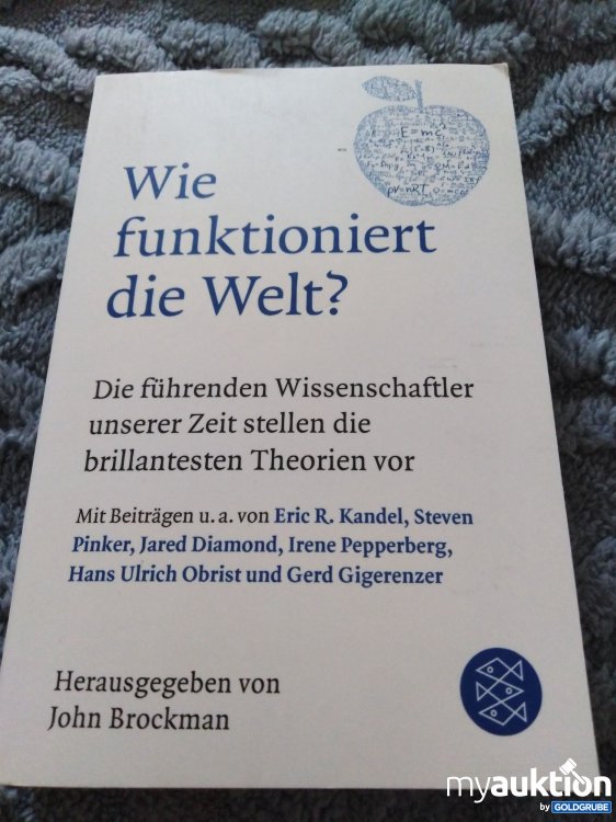 Artikel Nr. 346481: Wie funktioniert die Welt? 