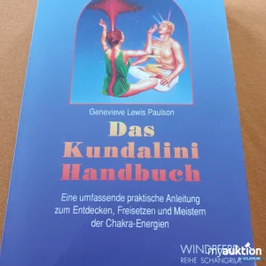 Auktion Das Kundalini Handbuch 