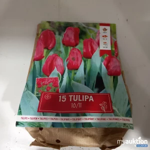 Auktion 15 Tulipa 