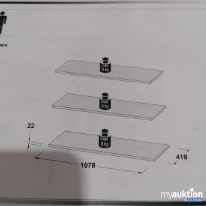 Auktion Einlegebretter  3 stk