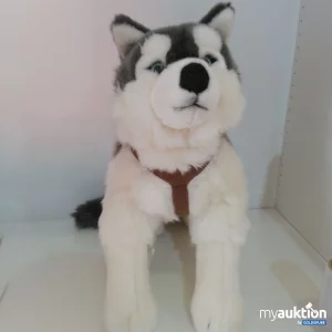 Auktion Plüsch Husky 