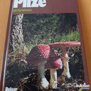 Auktion Pilze