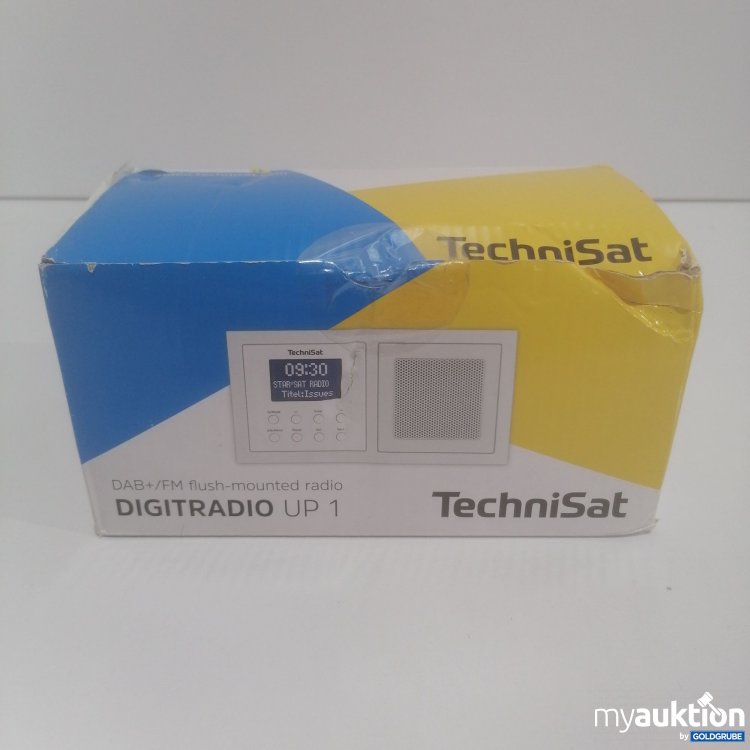 Artikel Nr. 782548: TechniSat Digitradio UP 1