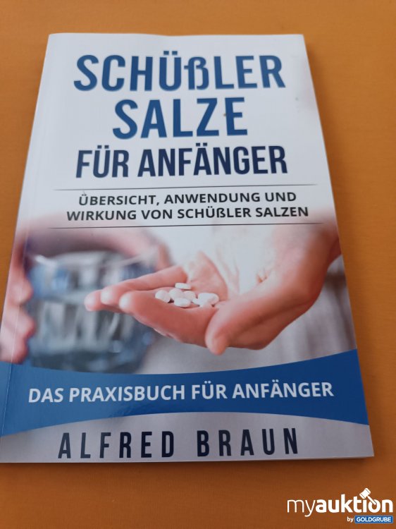 Artikel Nr. 347591: Schüßler Salze für Anfänger 