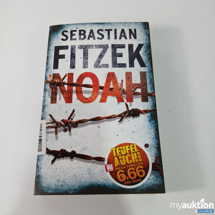 Artikel Nr. 800600: Noah Thriller Buch