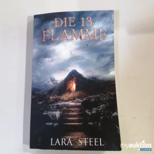 Auktion "Die 13. Flamme" von Lara Steel