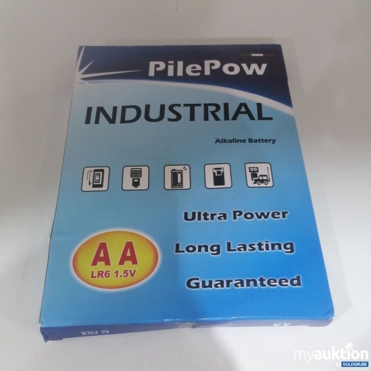 Artikel Nr. 750633: PilePow Industrial AA 24 Batterien 