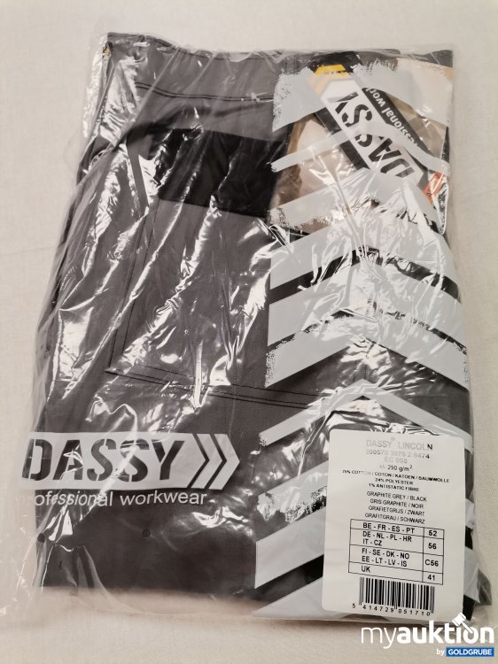 Artikel Nr. 734649: Dassy Lincoln Hose 