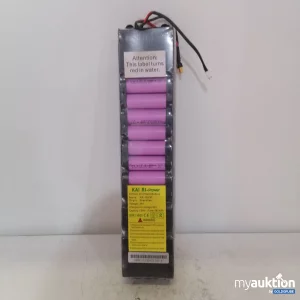 Auktion Kai RI-Power Battery 36V