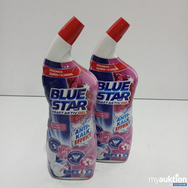 Artikel Nr. 802658: Blue Star WC Aktiv Gel 2x700ml