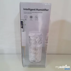 Auktion Intelligent Humudifier 1l