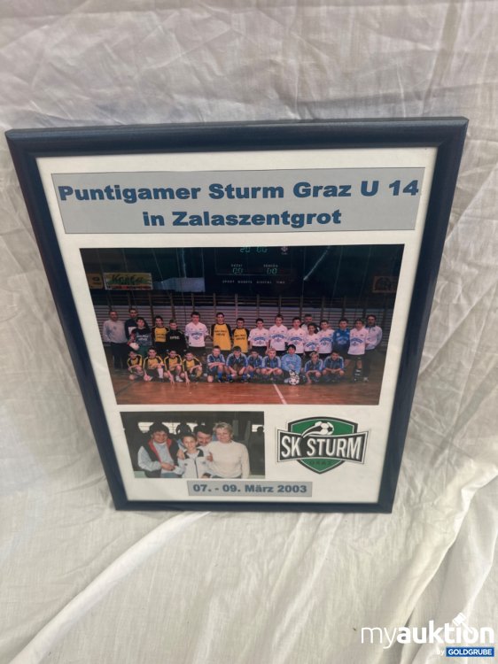 Artikel Nr. 357676: SK Sturm Foto Collage 2003