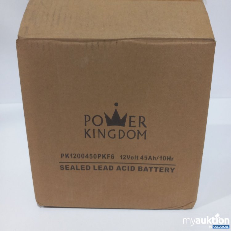 Artikel Nr. 781717: Power Kingdom Seald Lead Acid Battery PK1200450PKF6