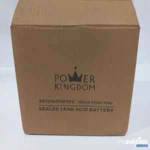 Artikel Nr. 781717: Power Kingdom Seald Lead Acid Battery PK1200450PKF6