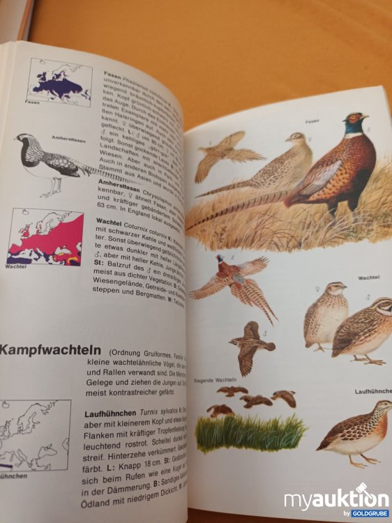 Artikel Nr. 347719: Der Kosmos Vogelführer