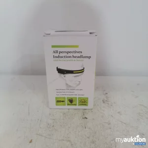 Auktion All perspectives Induction Headlamp 