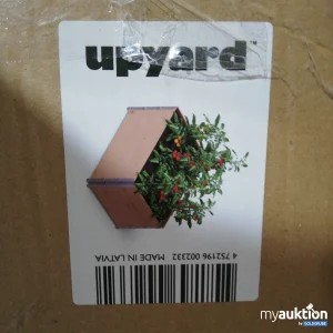 Auktion Upyard Mini Hochbeet 