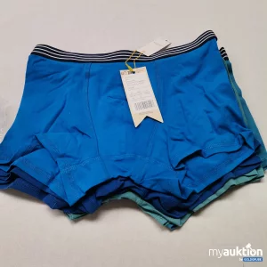 Auktion Friboo Trunks