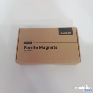 Auktion Gauder Ferrite Magnets 54 Stück 