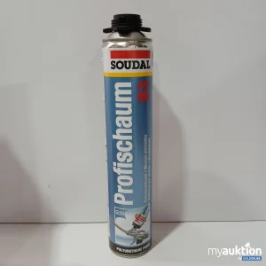 Auktion Soudal Profischaum B3 750ml 