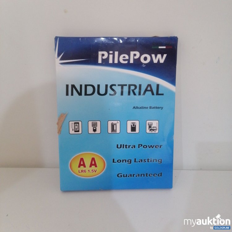 Artikel Nr. 750753: PilePow Industrial AA 1.5V