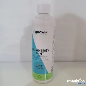 Auktion Prowin Cleanergy Mint 500ml