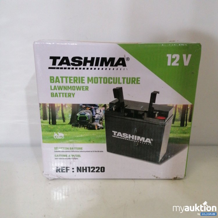 Artikel Nr. 758759: Tashima Batterie Motoculture 12V