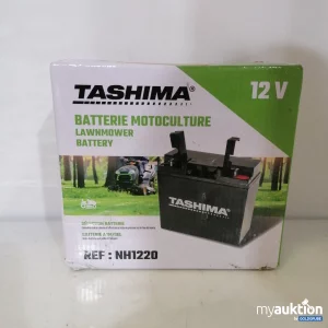 Auktion Tashima Batterie Motoculture 12V