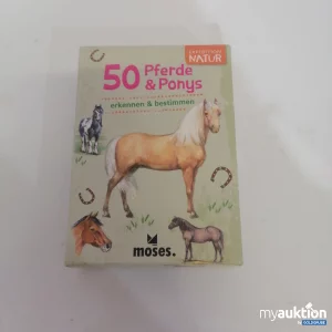 Auktion Moses 50 Pferde Ponys 