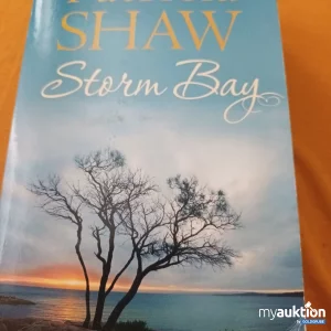 Auktion Storm Bay